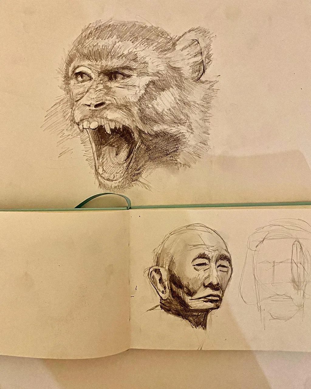 Sketchbook pages with a pencil drawing of a screaming monkey and an elderly man's head