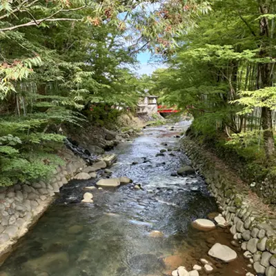 Shallow rocky stream running through a green wooded valley