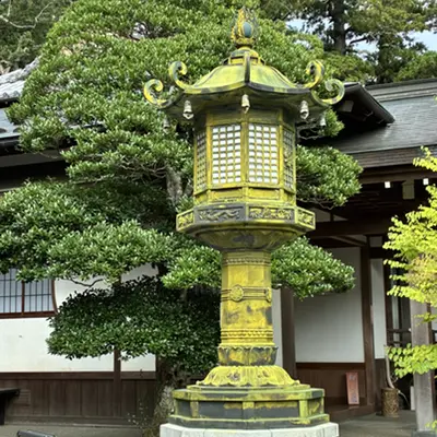 Moss-colored bronze lantern in front of a Japanese temple and pine